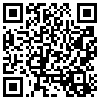 QR Code Handyversion