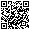 QR Code Handyversion