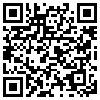 QR Code Handyversion