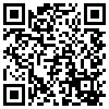 QR Code Handyversion