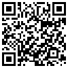 QR Code Handyversion