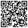 QR Code Handyversion