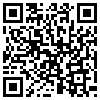 QR Code Handyversion