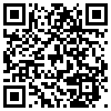 QR Code Handyversion