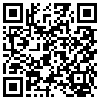 QR Code Handyversion