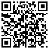 QR Code Handyversion