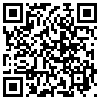 QR Code Handyversion