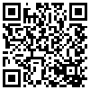 QR Code Handyversion