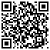 QR Code Handyversion