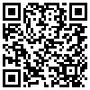 QR Code Handyversion