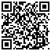 QR Code Handyversion