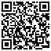 QR Code Handyversion