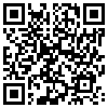 QR Code Handyversion