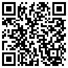 QR Code Handyversion