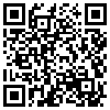 QR Code Handyversion