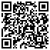 QR Code Handyversion