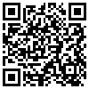 QR Code Handyversion