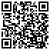 QR Code Handyversion