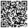 QR Code Handyversion