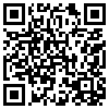 QR Code Handyversion