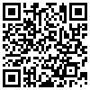 QR Code Handyversion