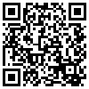 QR Code Handyversion