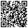 QR Code Handyversion