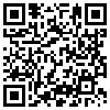 QR Code Handyversion