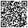 QR Code Handyversion