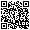 QR Code Handyversion