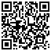 QR Code Handyversion