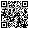 QR Code Handyversion