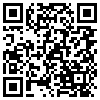 QR Code Handyversion