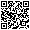 QR Code Handyversion