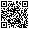 QR Code Handyversion