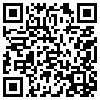 QR Code Handyversion