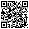 QR Code Handyversion