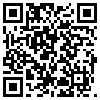 QR Code Handyversion