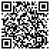 QR Code Handyversion