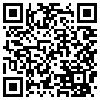 QR Code Handyversion