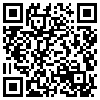 QR Code Handyversion