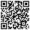 QR Code Handyversion