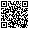 QR Code Handyversion