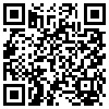 QR Code Handyversion