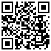 QR Code Handyversion