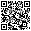 QR Code Handyversion