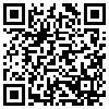 QR Code Handyversion