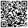 QR Code Handyversion