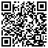 QR Code Handyversion