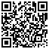 QR Code Handyversion